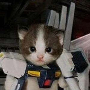 Meet your Posher, Joe